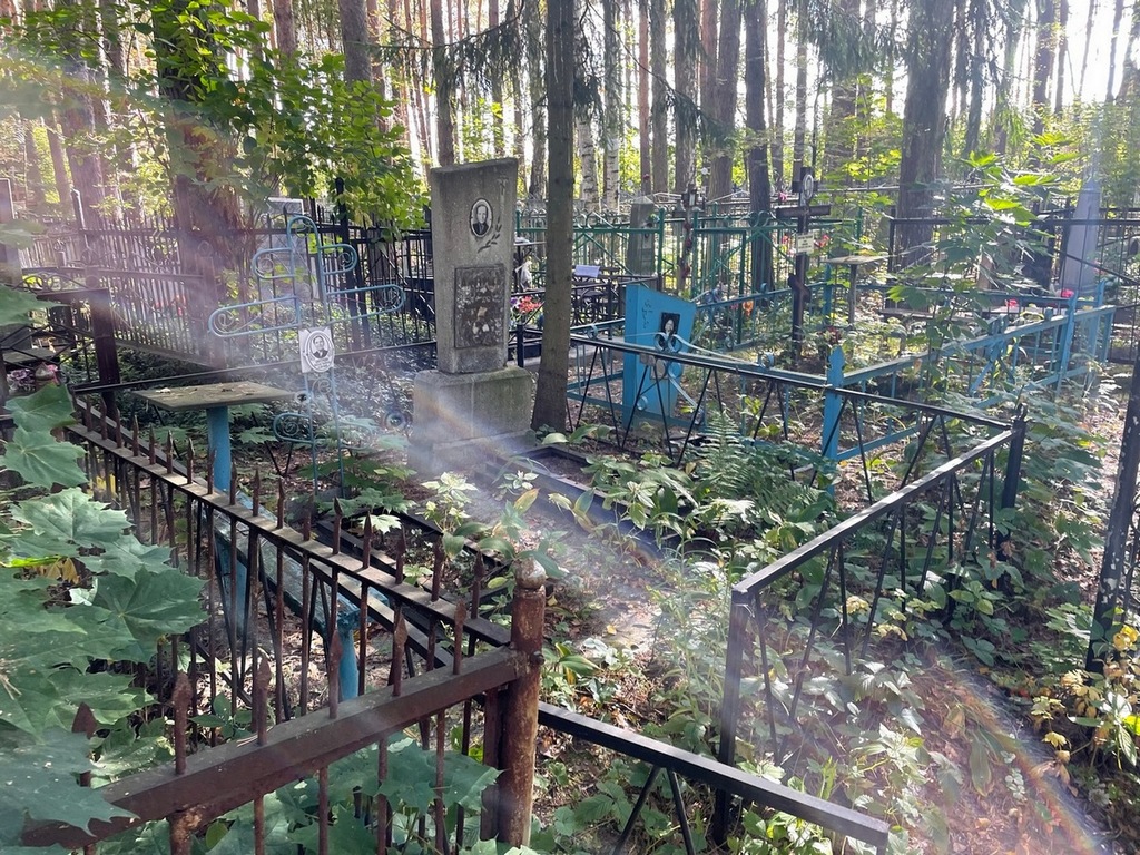 Дмитриева Анастасия Тимофеевна
