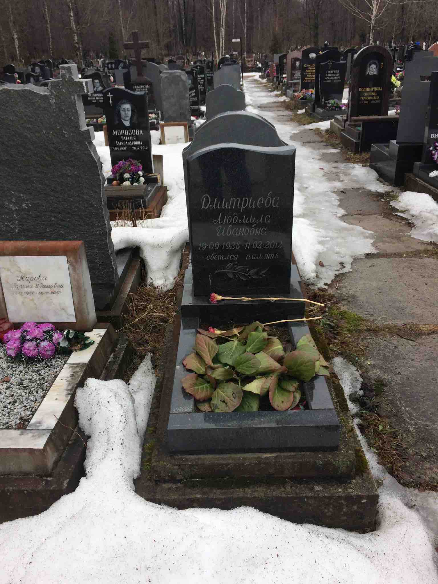 Дмитриева Людмила Ивановна