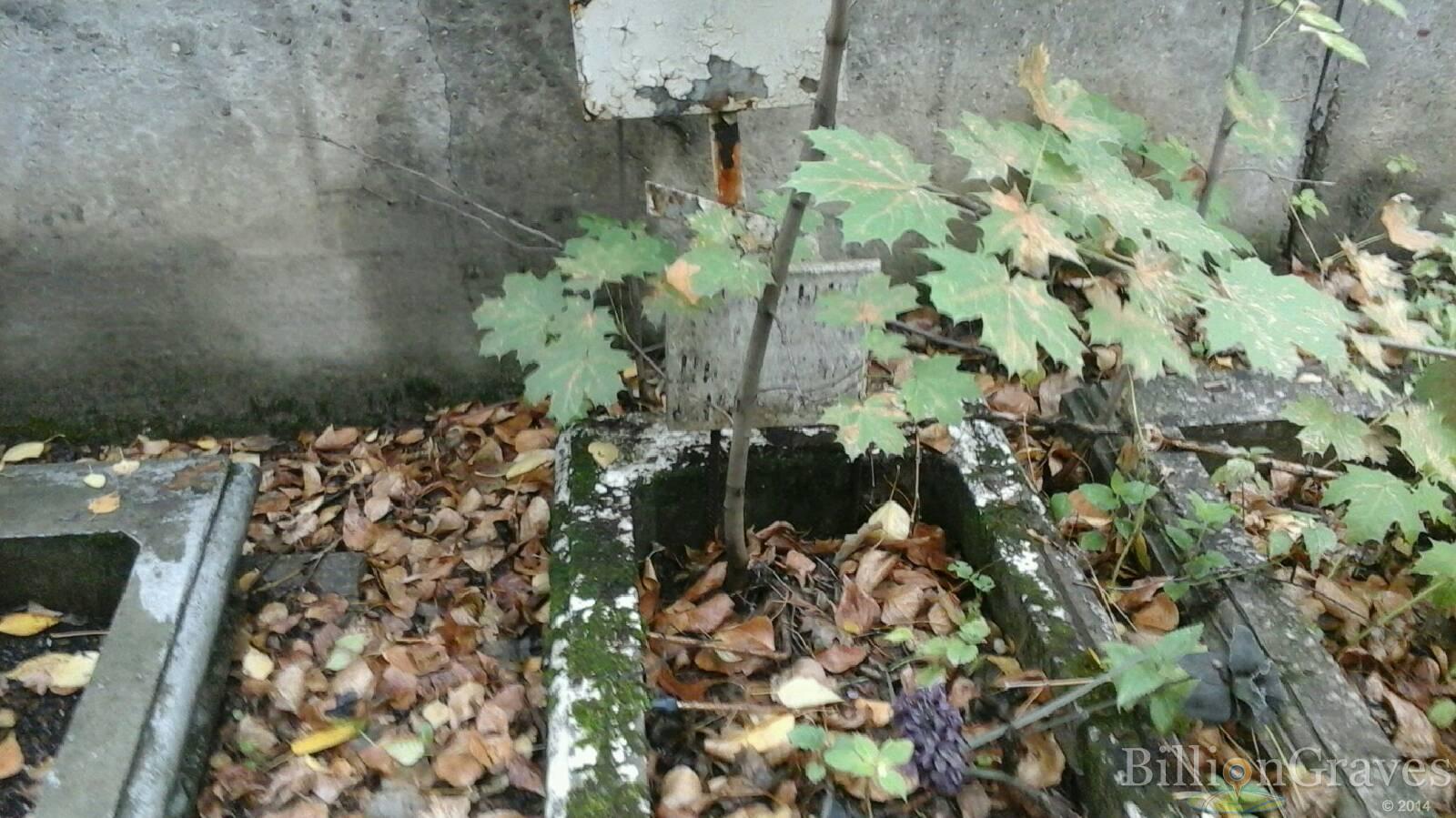 Гранцына Прасковья Николаевна