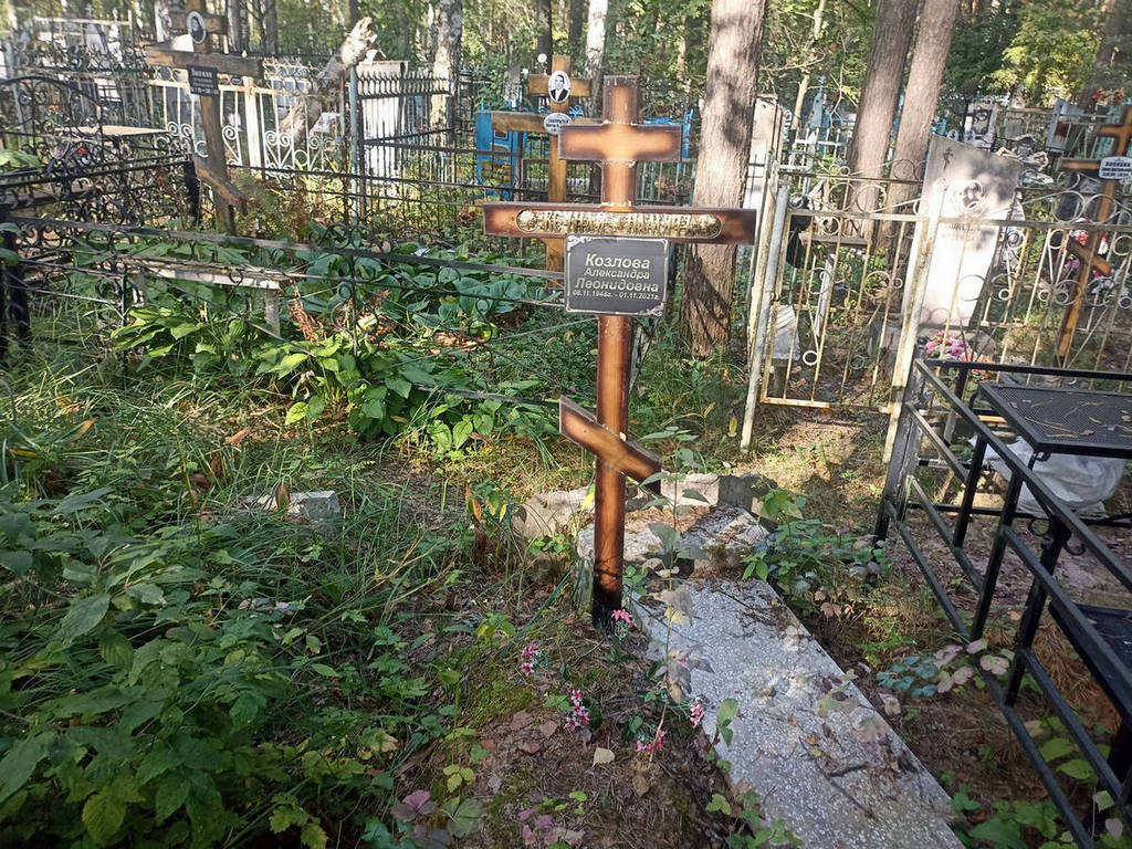 Козлова Александра Леонидовна