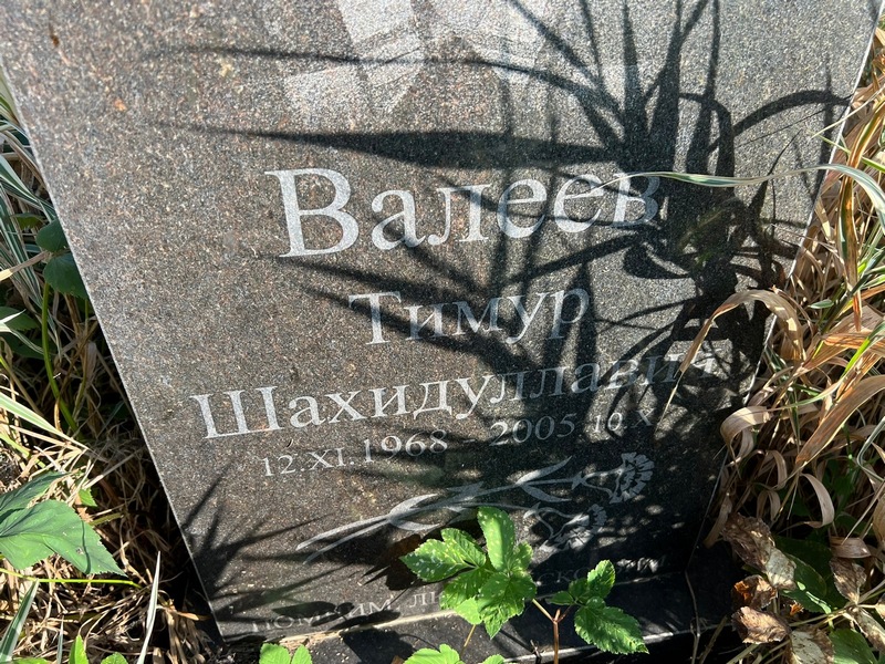 Тимур Валеев Шахидуллавич