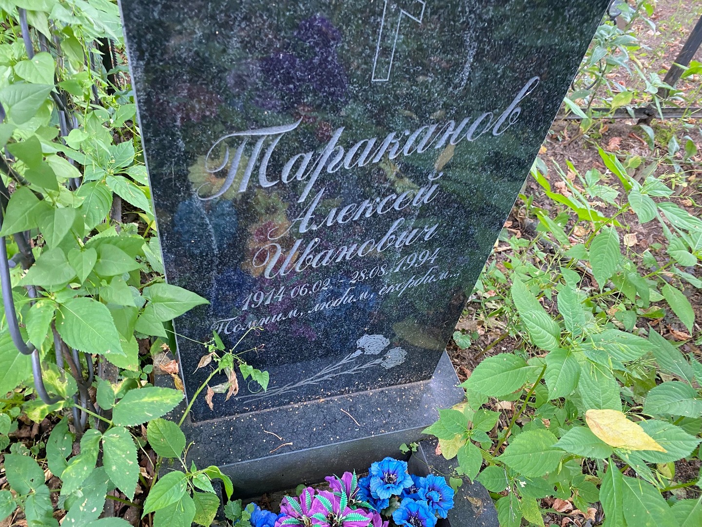Тараканов