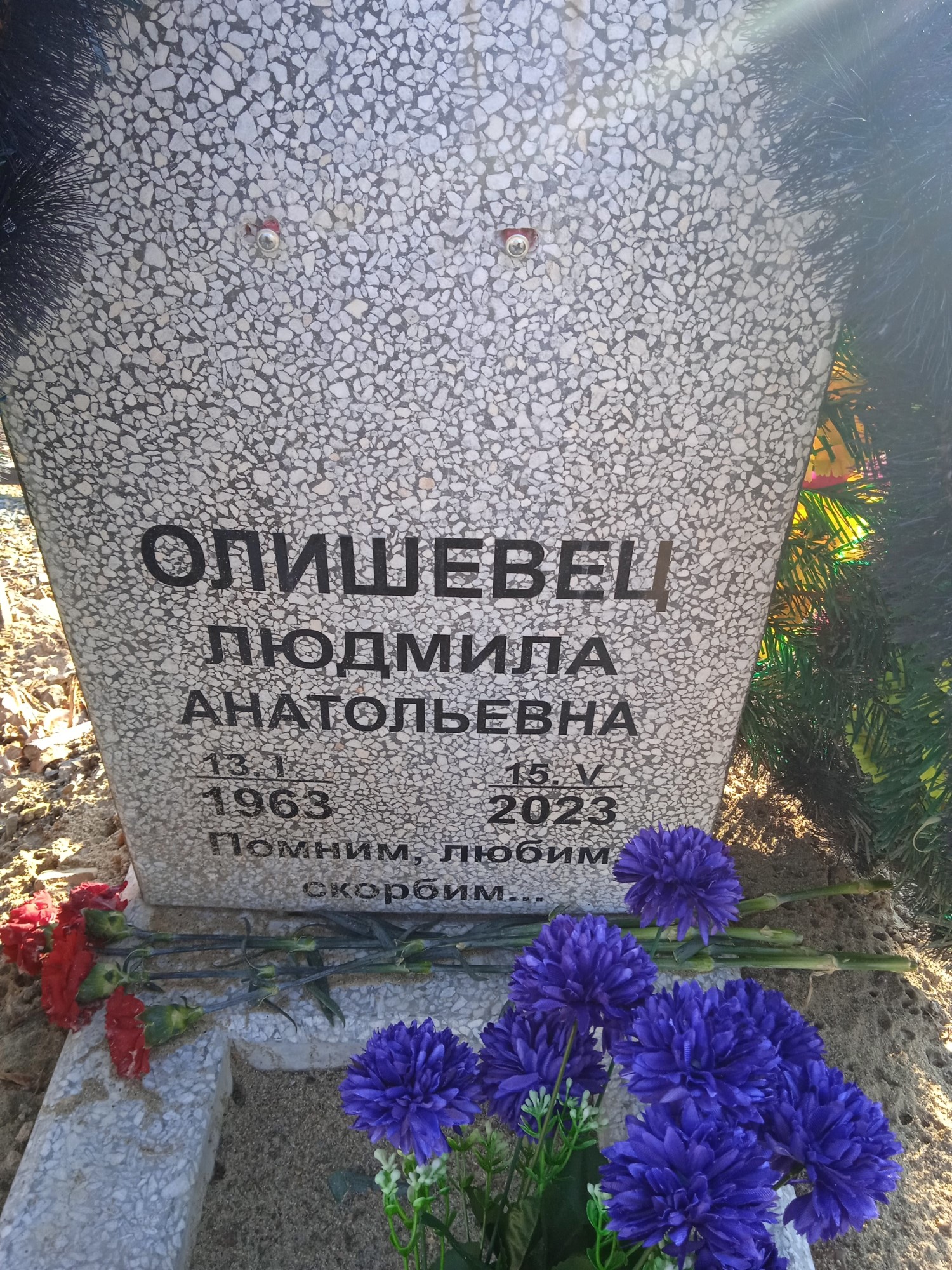 Олишевец Людмила Анатольевна