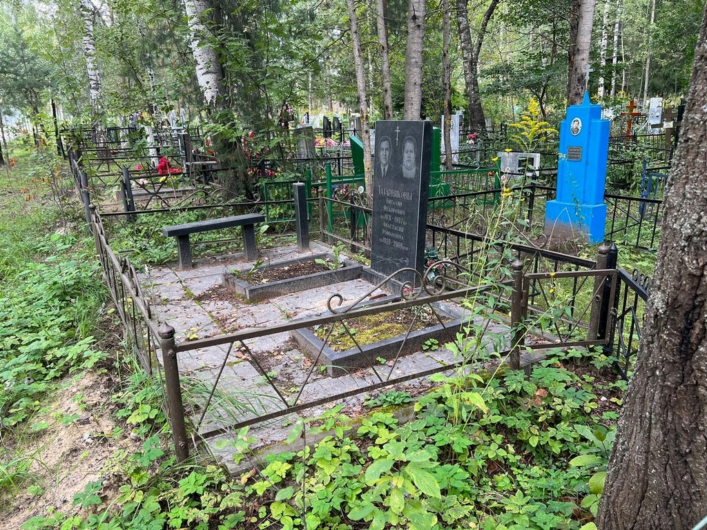 Татарников Виталий Федорович