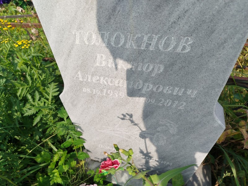 Толокнов