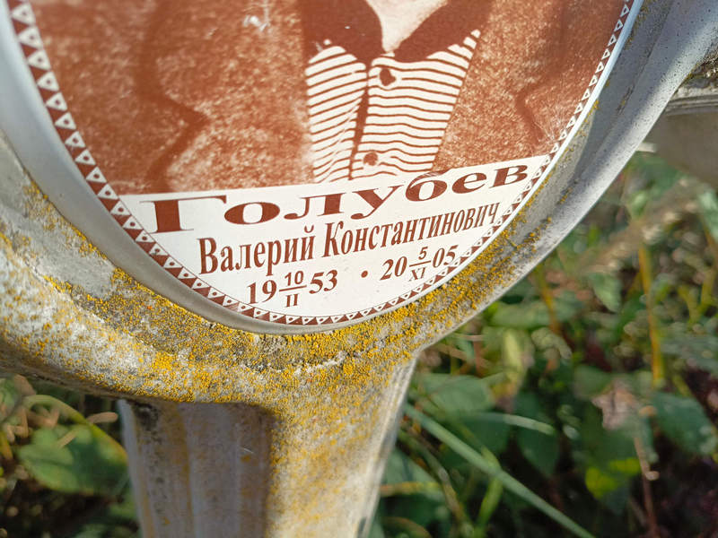 Голубев