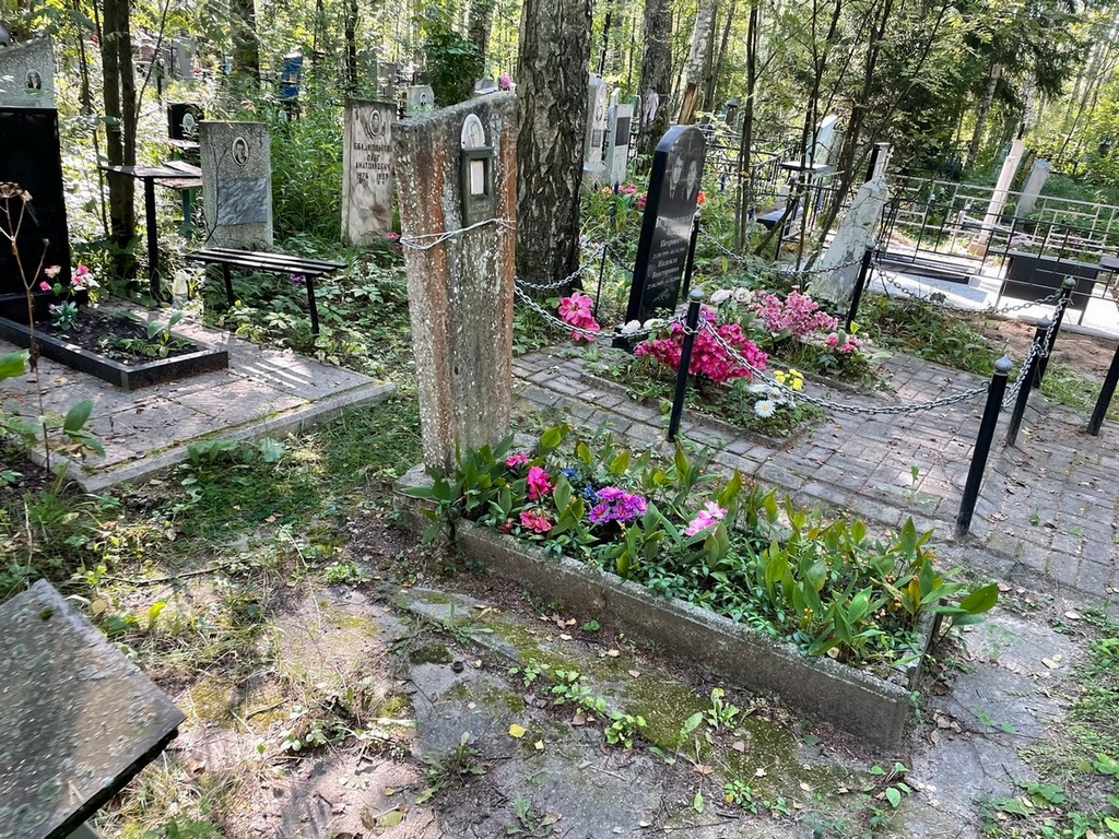 Царева Ольга Павловна