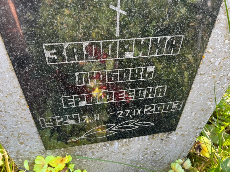 Задорина