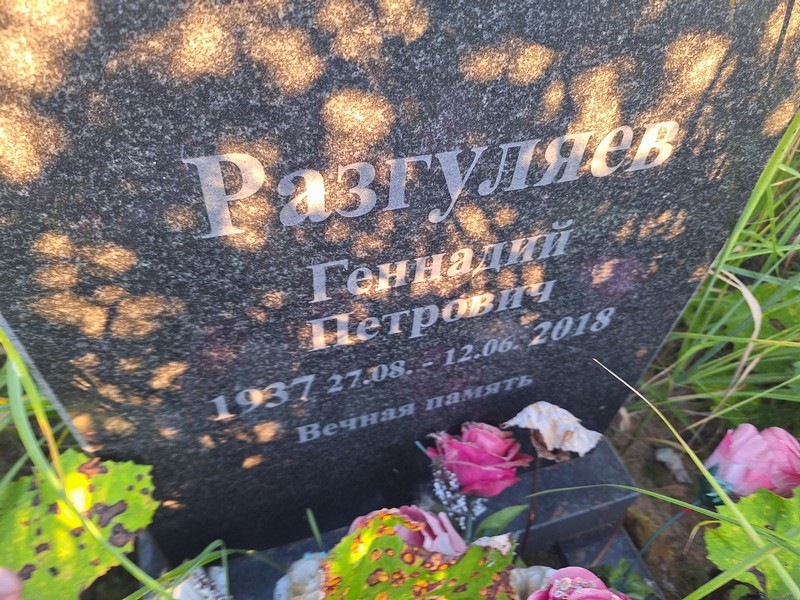 Разгуляев