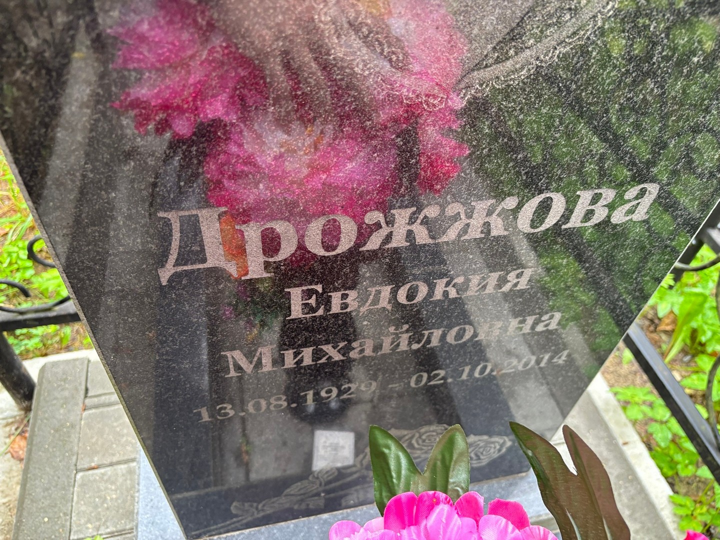 Дрожжова