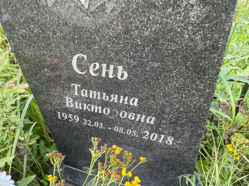 Сень
