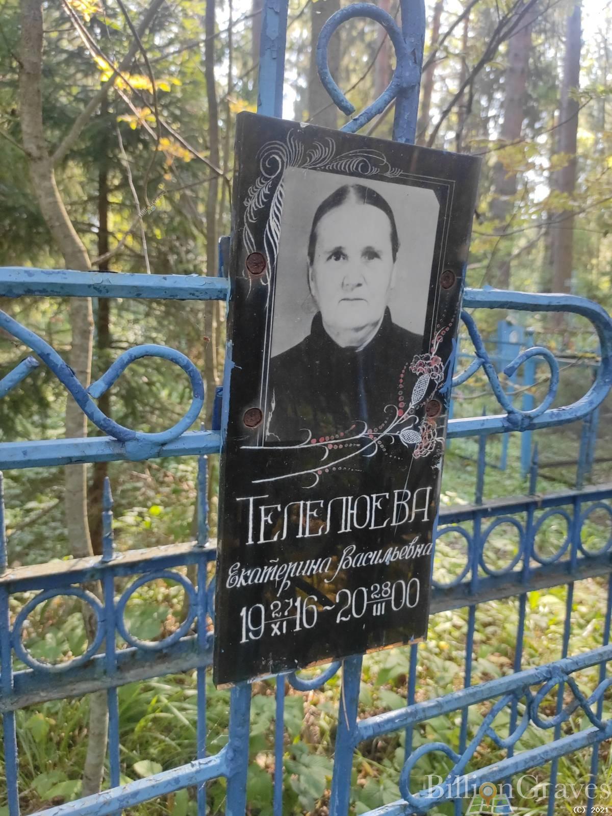 Телелюева Екатерина Васильевна