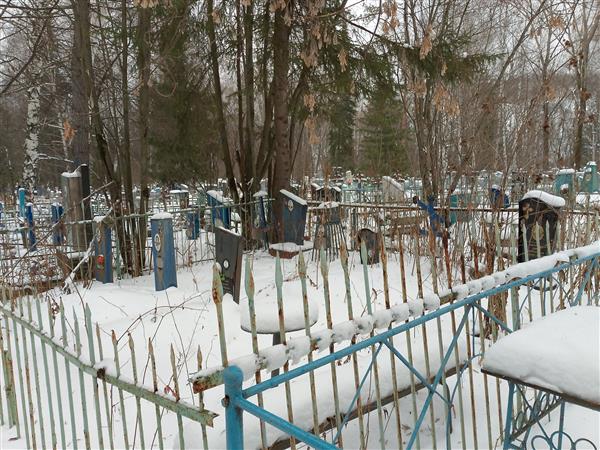 Шипачева Агния Алексеевна