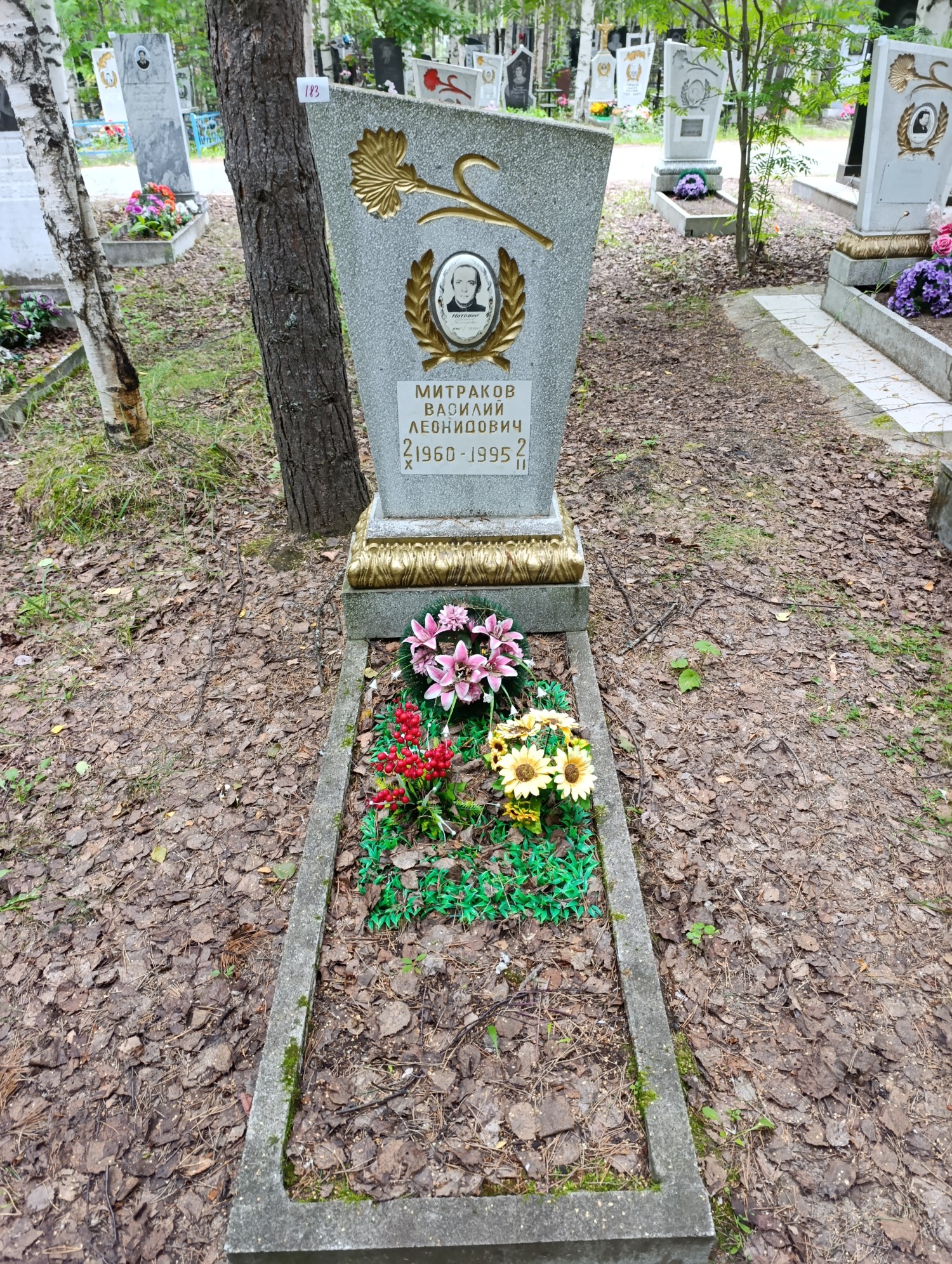 Митраков Василий Леонидович