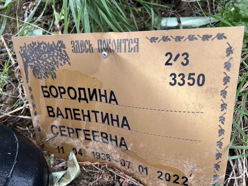 Бородина