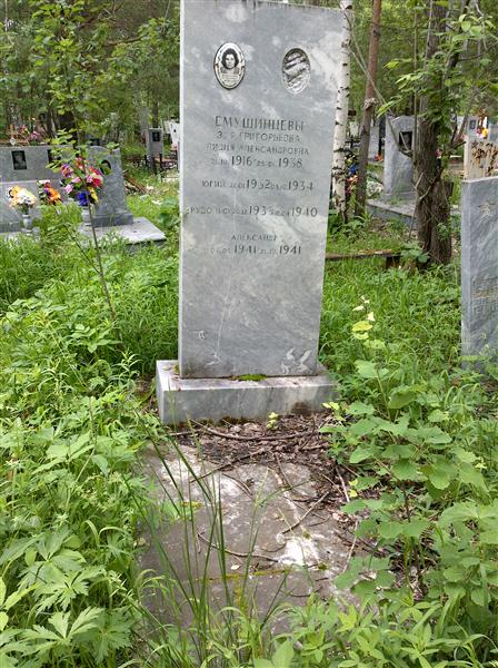 Емушинцев Александр
