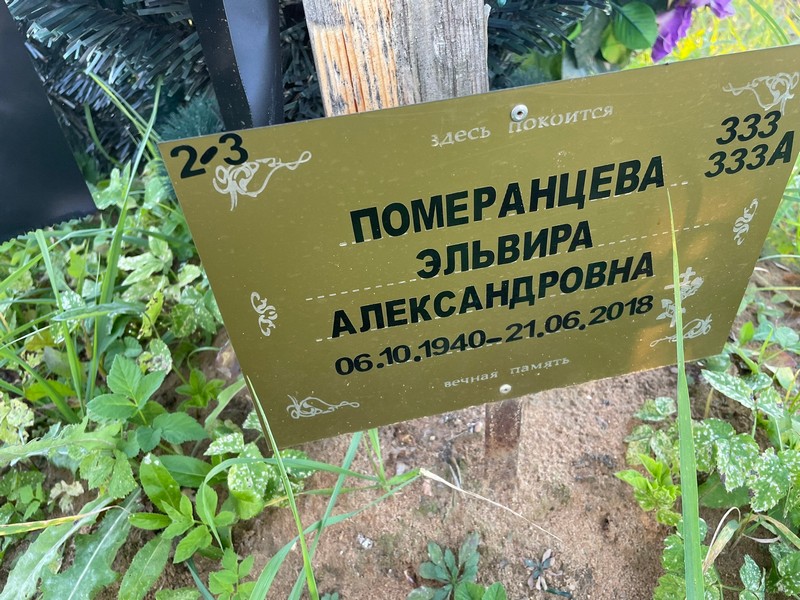 Эльвира Померанцева Александровна