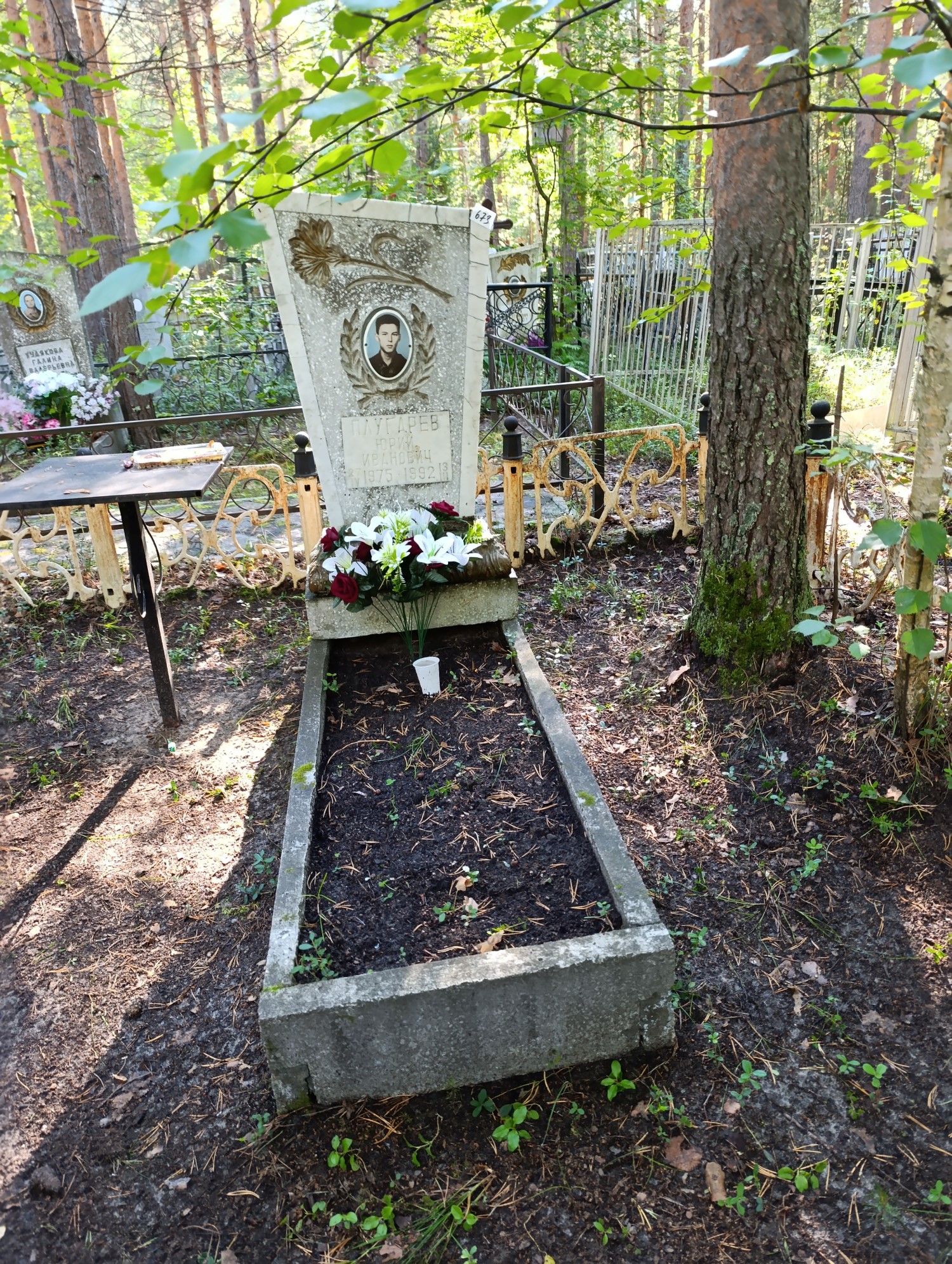 Плугарев Юрий Иванович