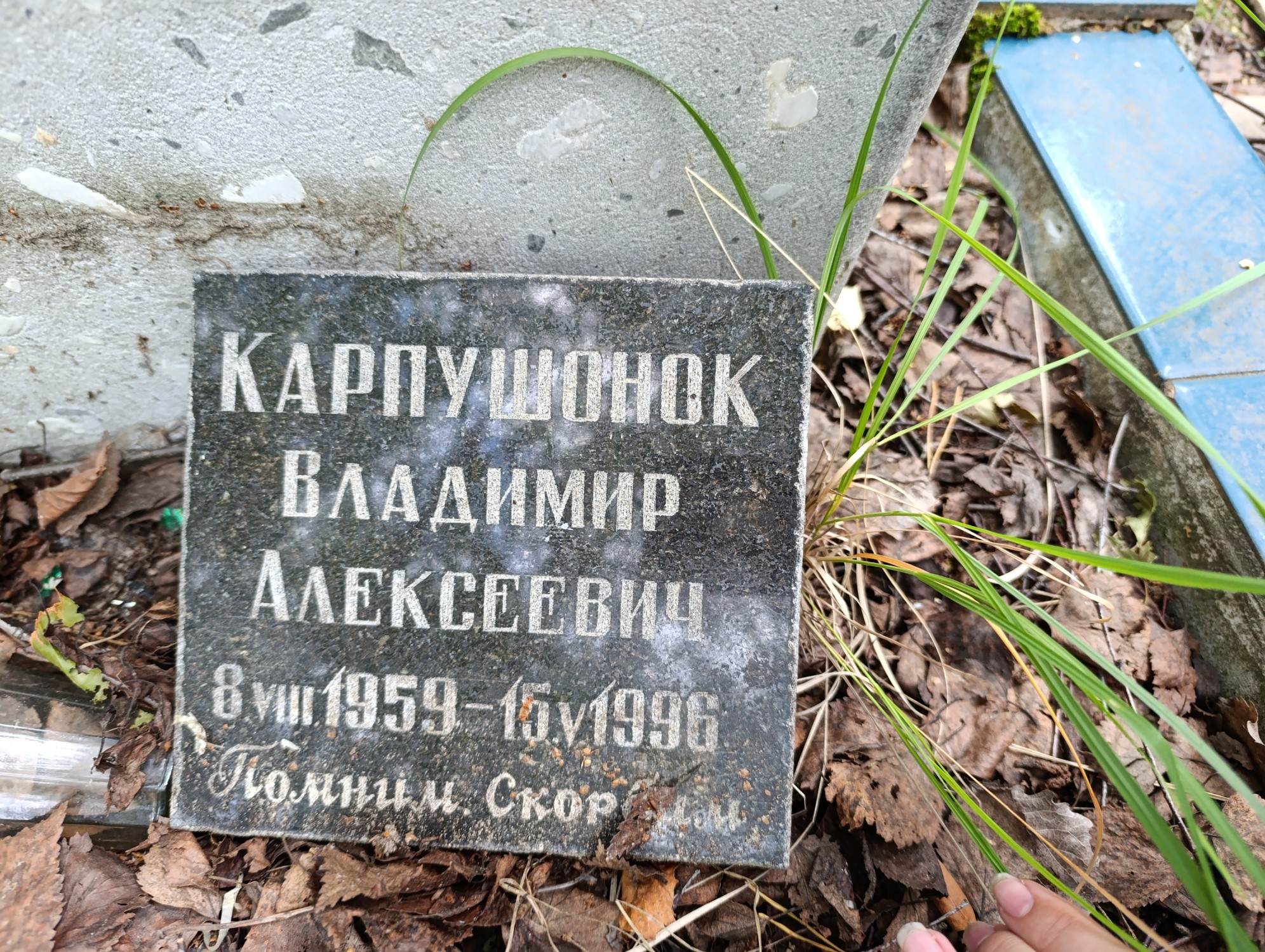 Карпушонок Владимир Алексеевич