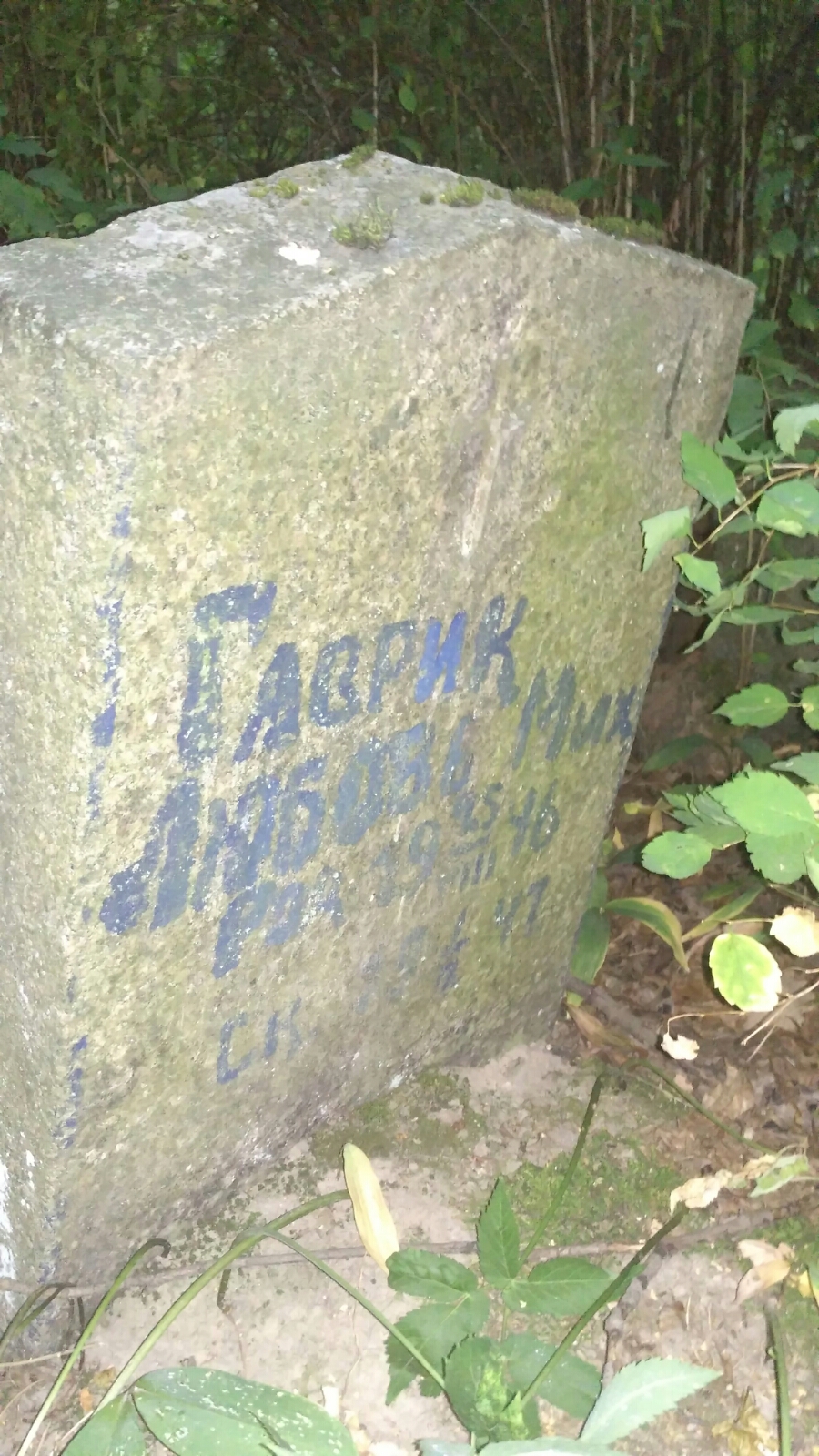 Гаврик Любовь Михайловна