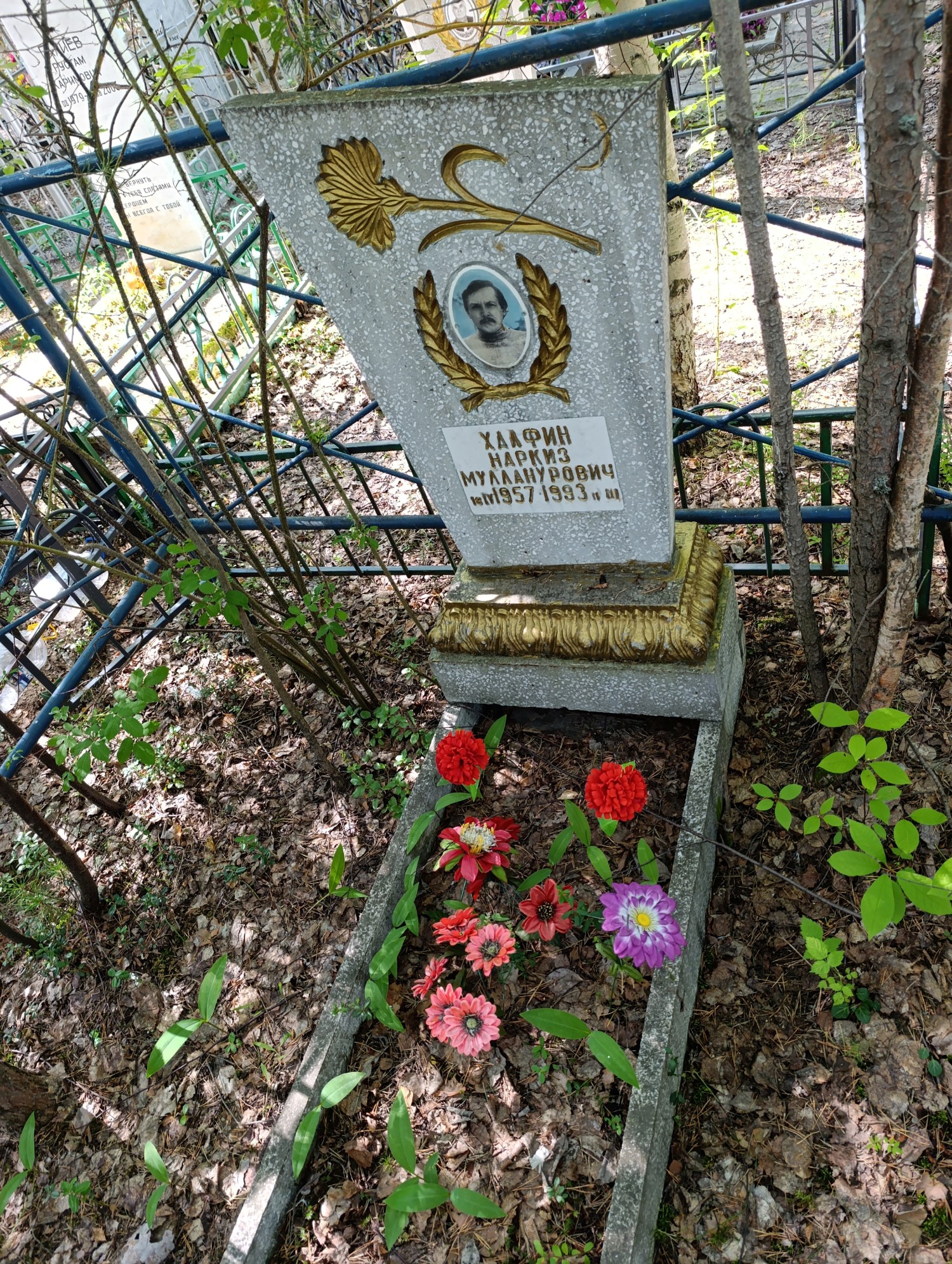Халфин Наркиз Мулланурович
