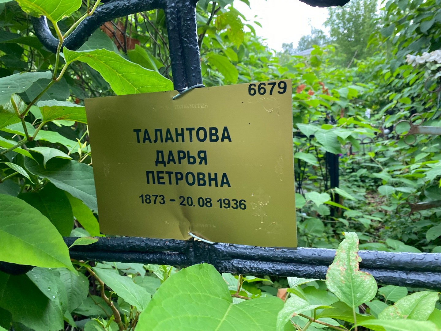 Талантова