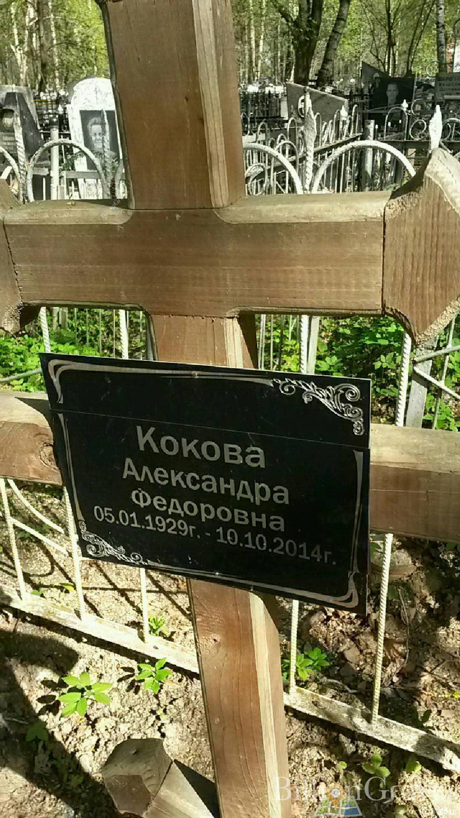 кокова Александра федоровна