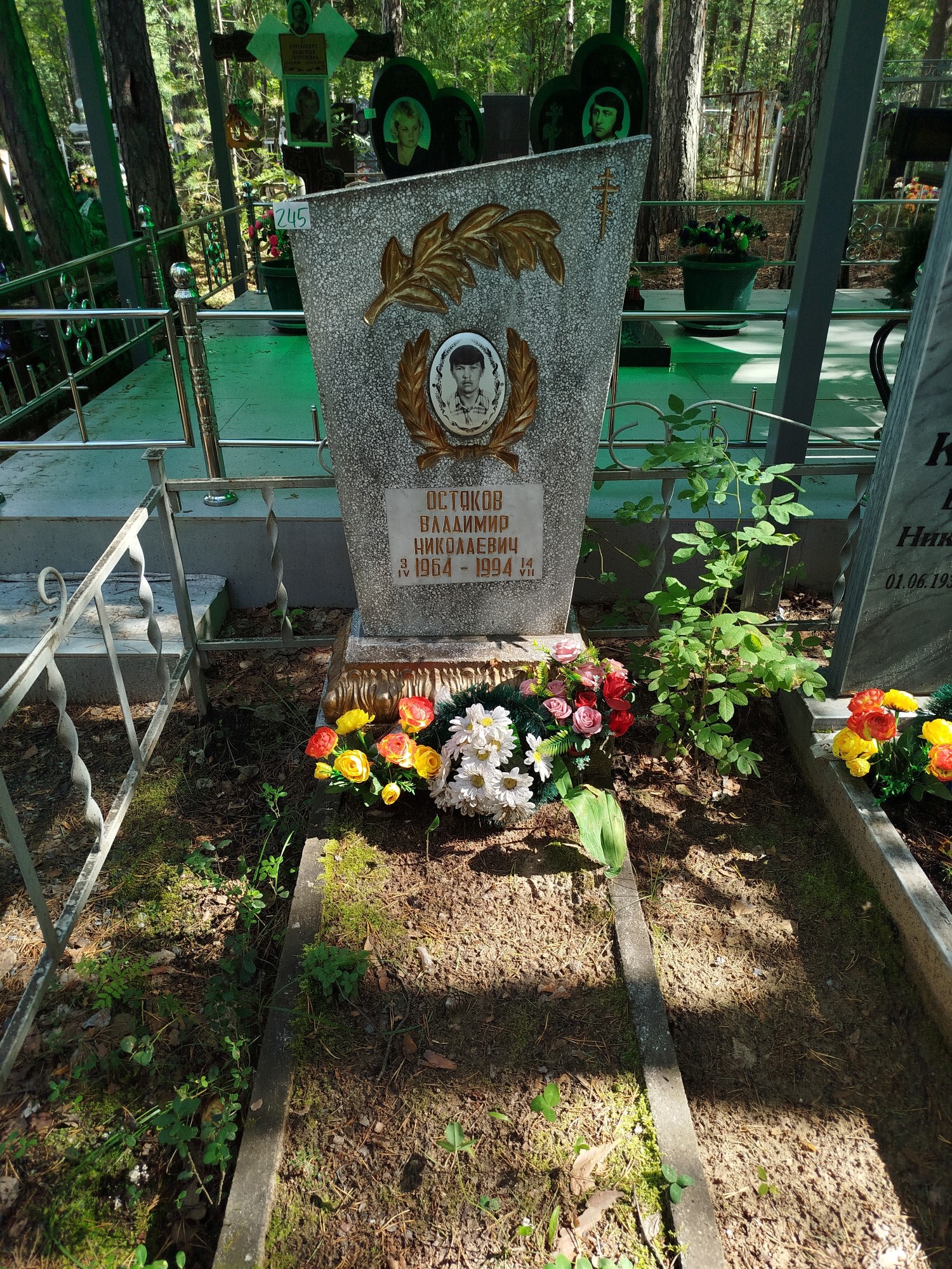 Остяков Владимир Николаевич