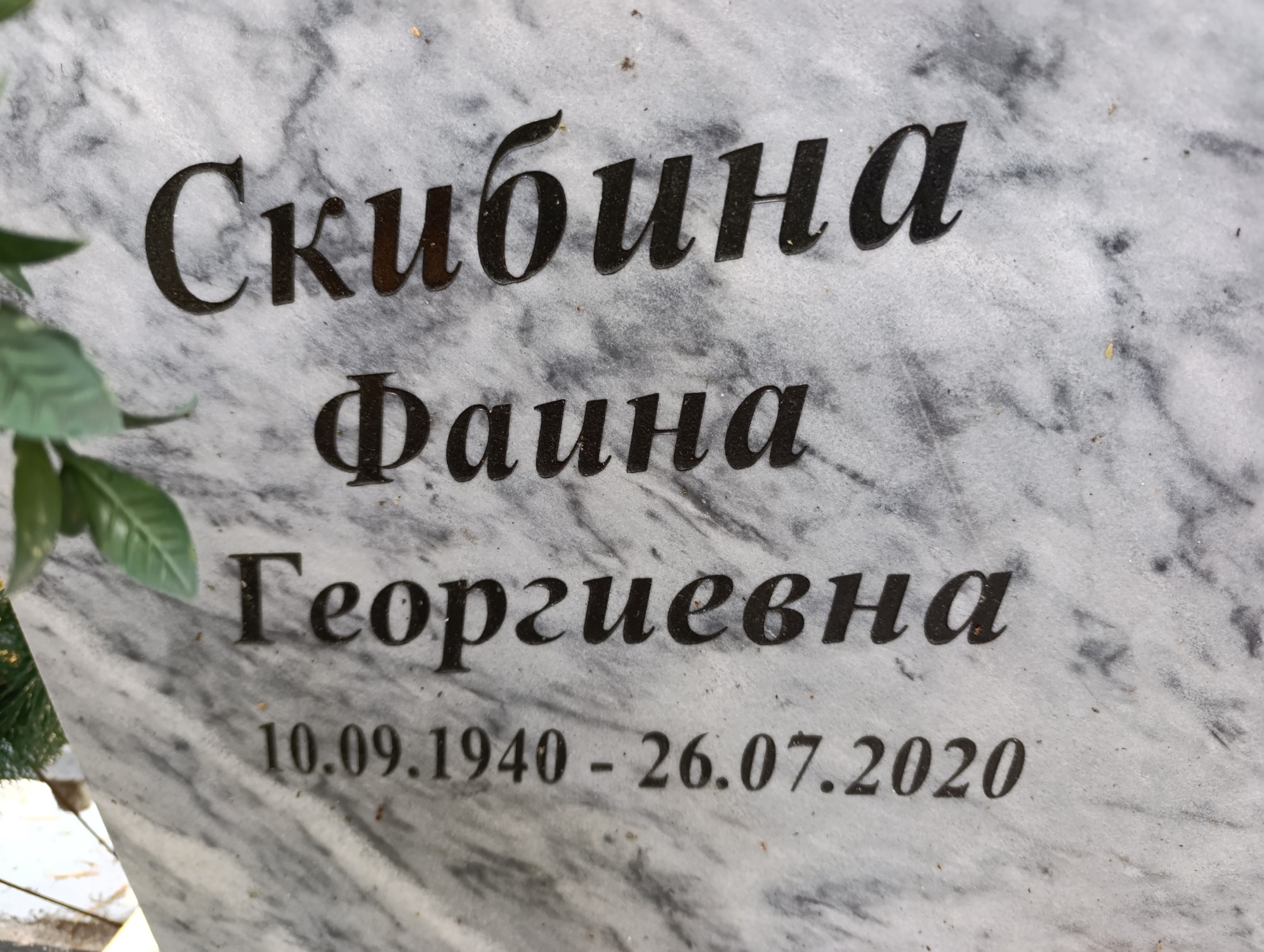 Скибина Фаина Георгиевна