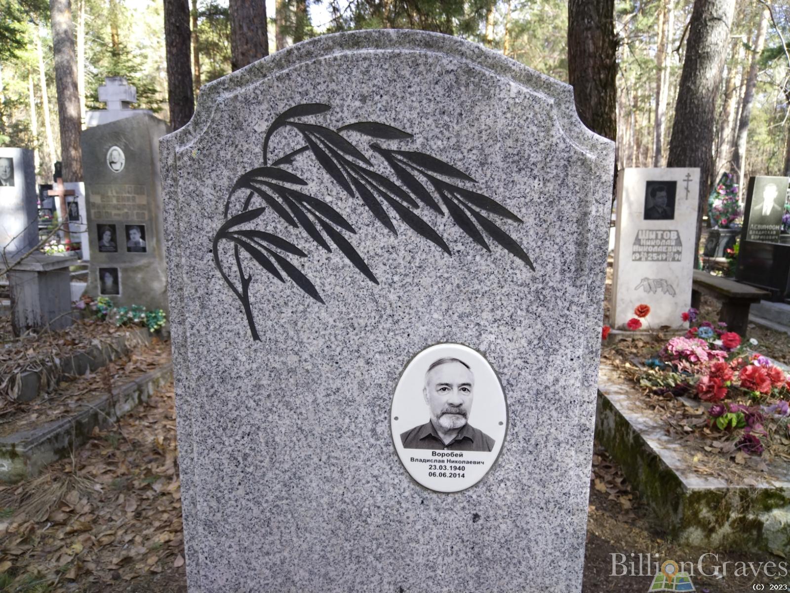 Воробей Владислав Николаевич