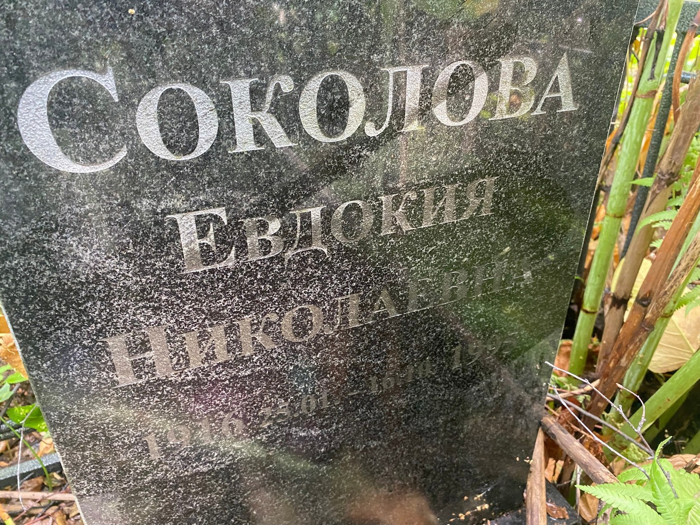 Соколова