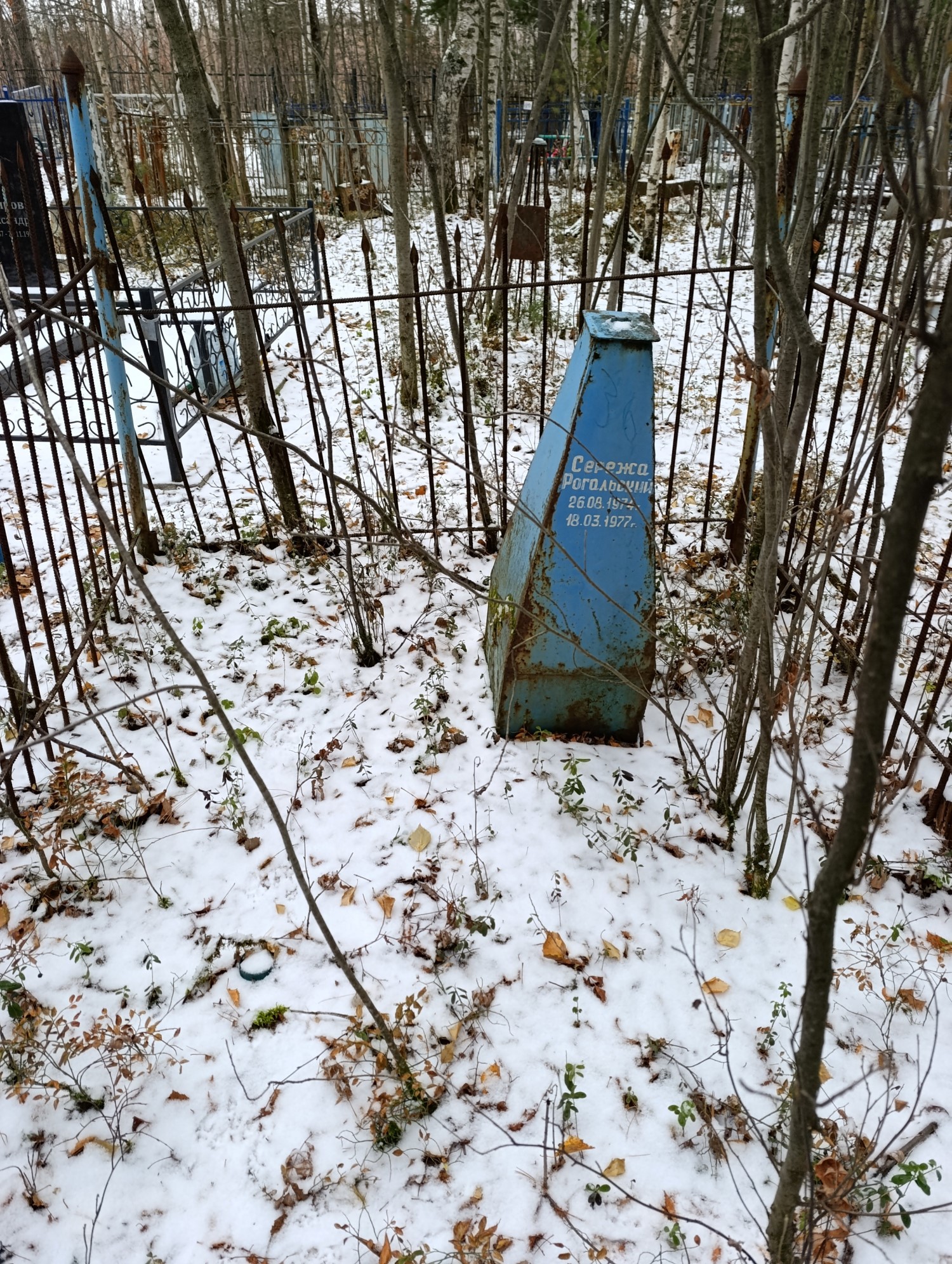 Рогальский Сережа