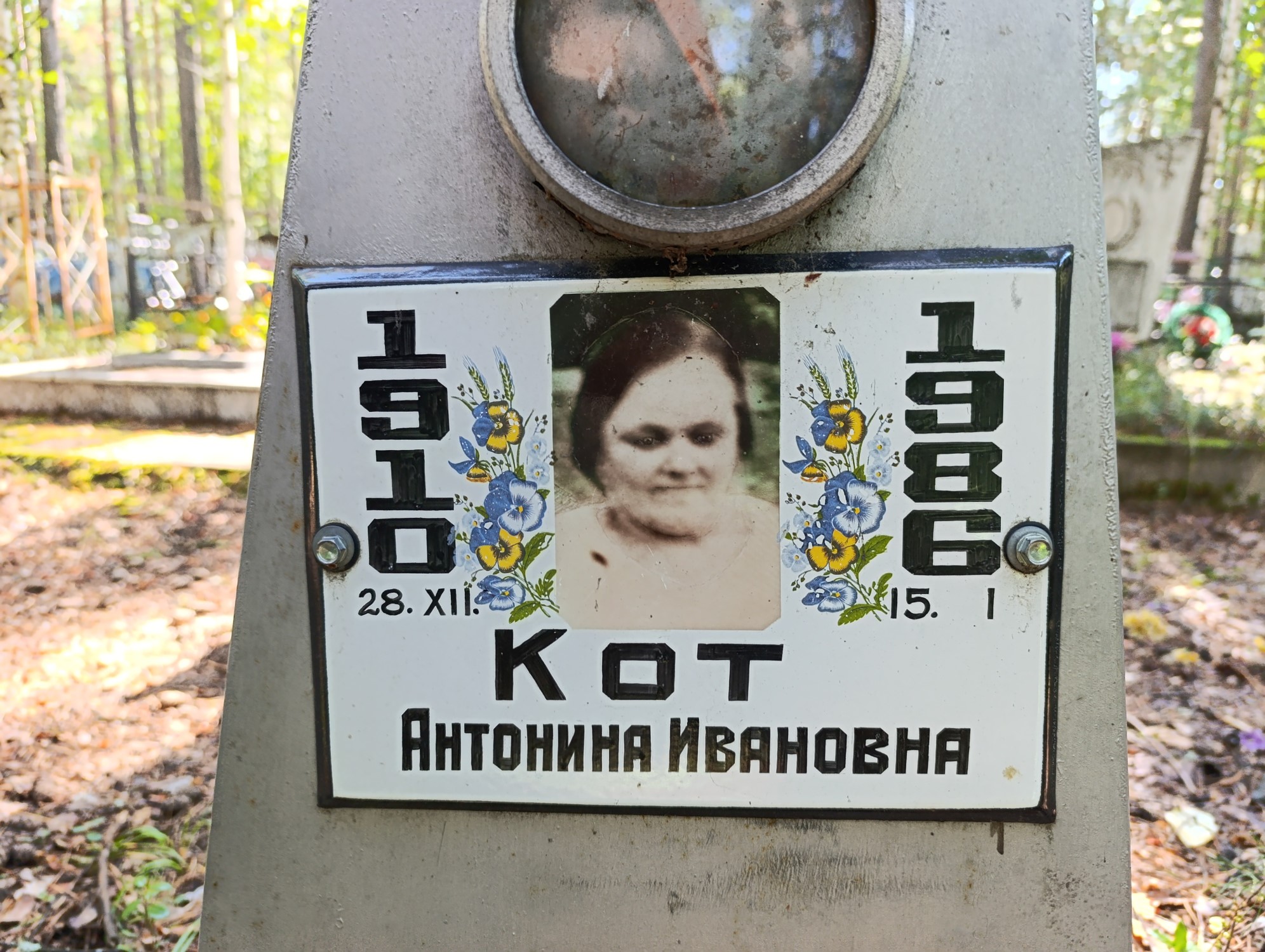 Кот Антонина Ивановна