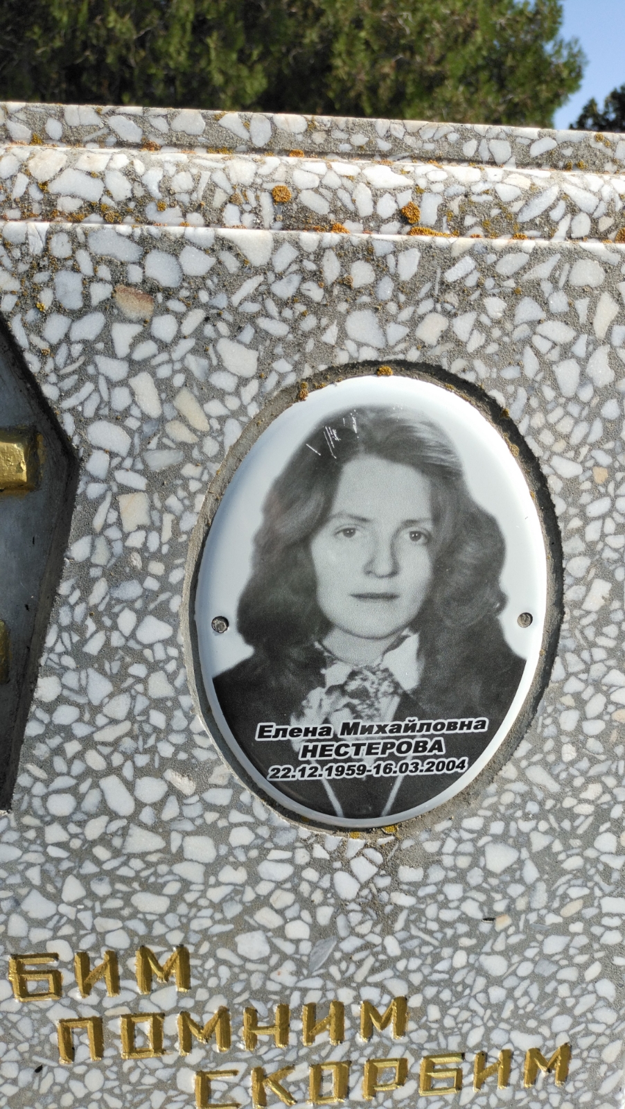 Нестерова Елена Михайловна
