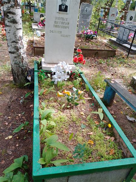 Малых Ситалий Павлович