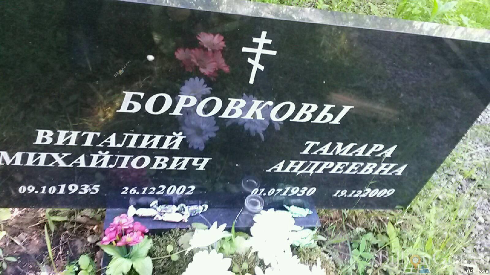 боровков виталий михайлович