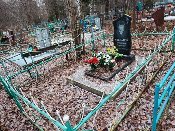 Степанов Владимир Георгиевич