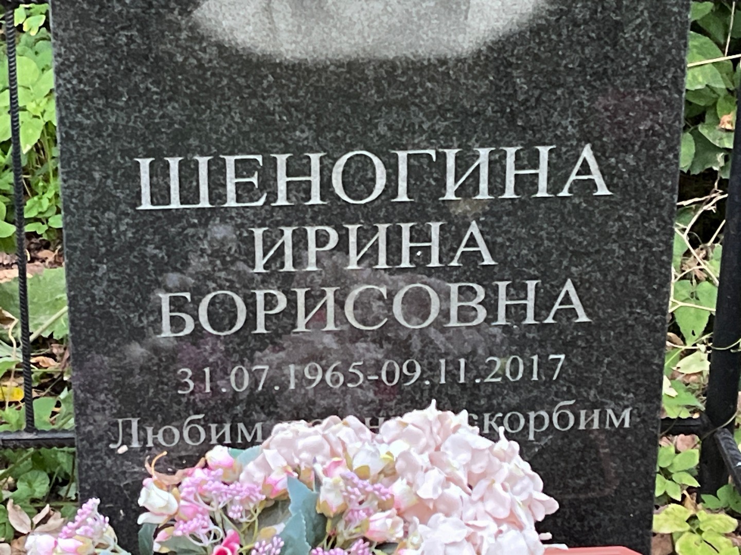 Шеногина