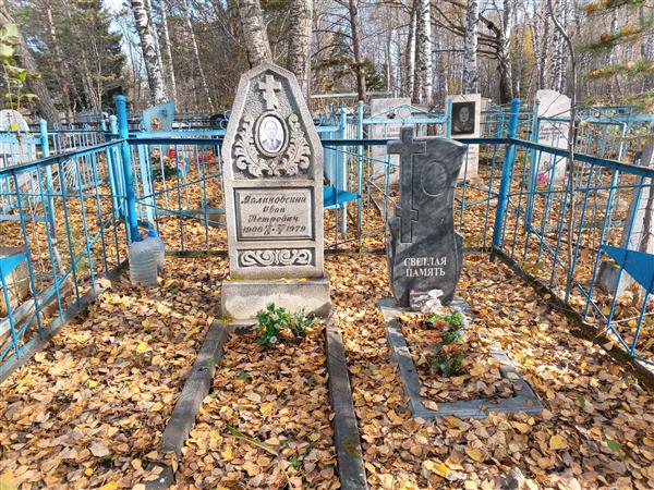 Малиновский Владимир Иванович
