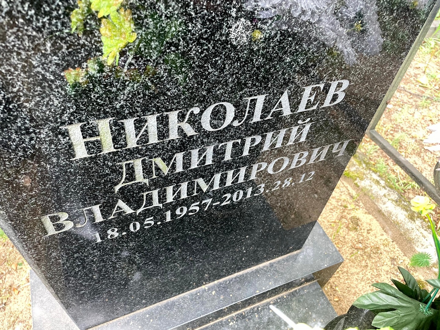 Николаев