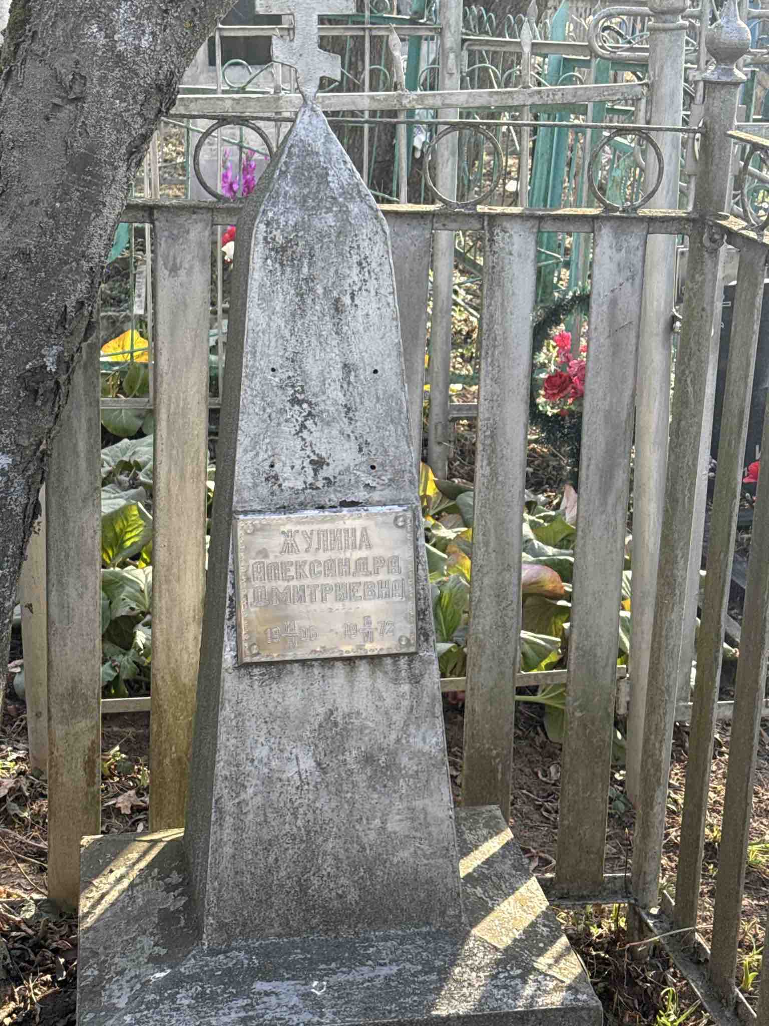 Жулина Александра Дмитриевна