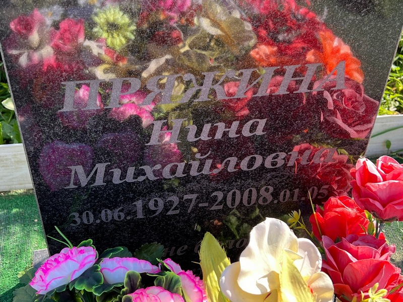 Пряжина