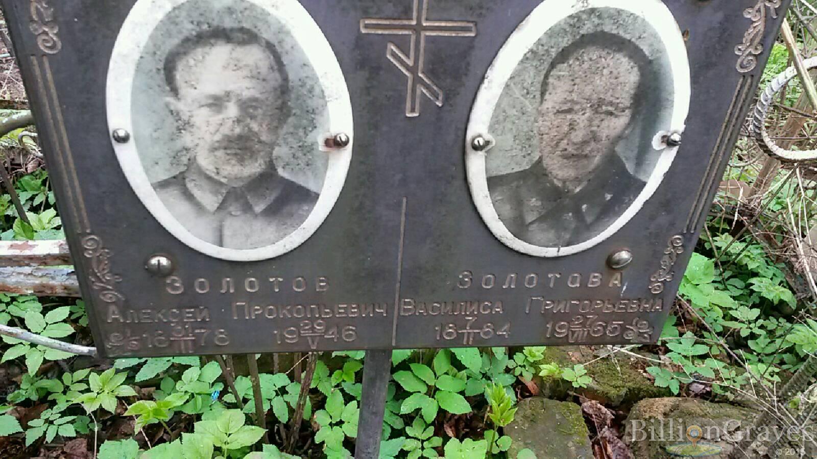 золотова а.а.