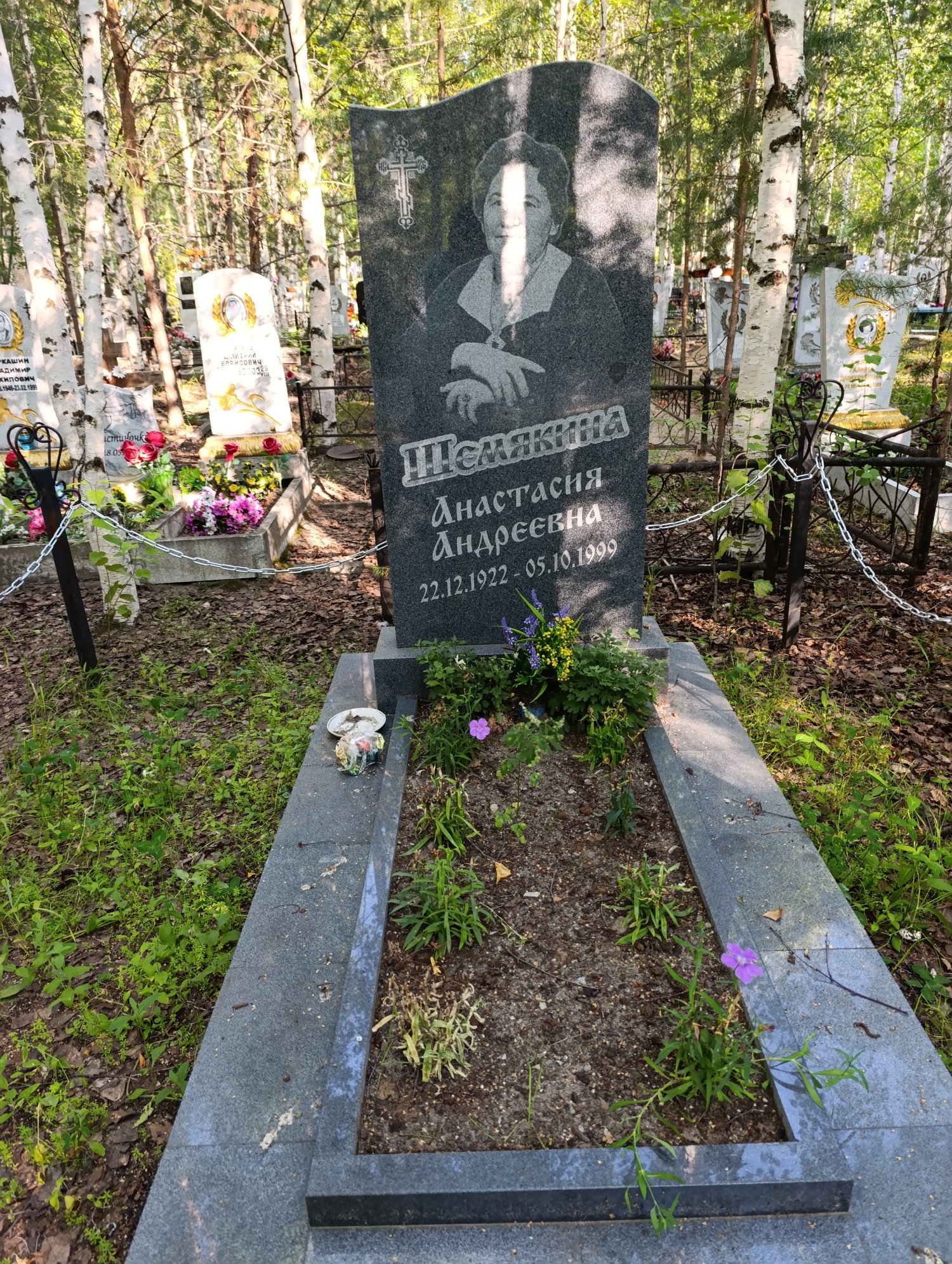 Шемякина Анастасия Андреевна