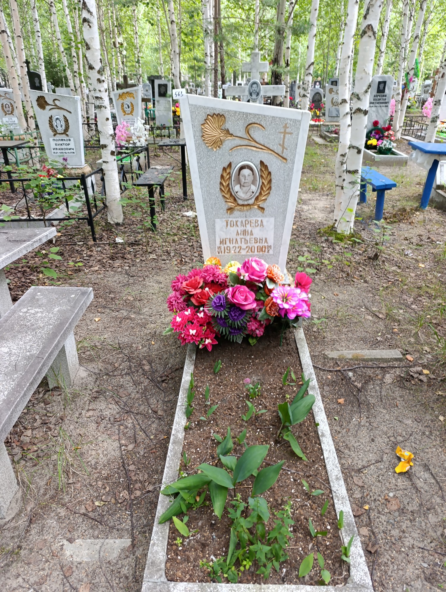 Токарева Анна Игнатьевна