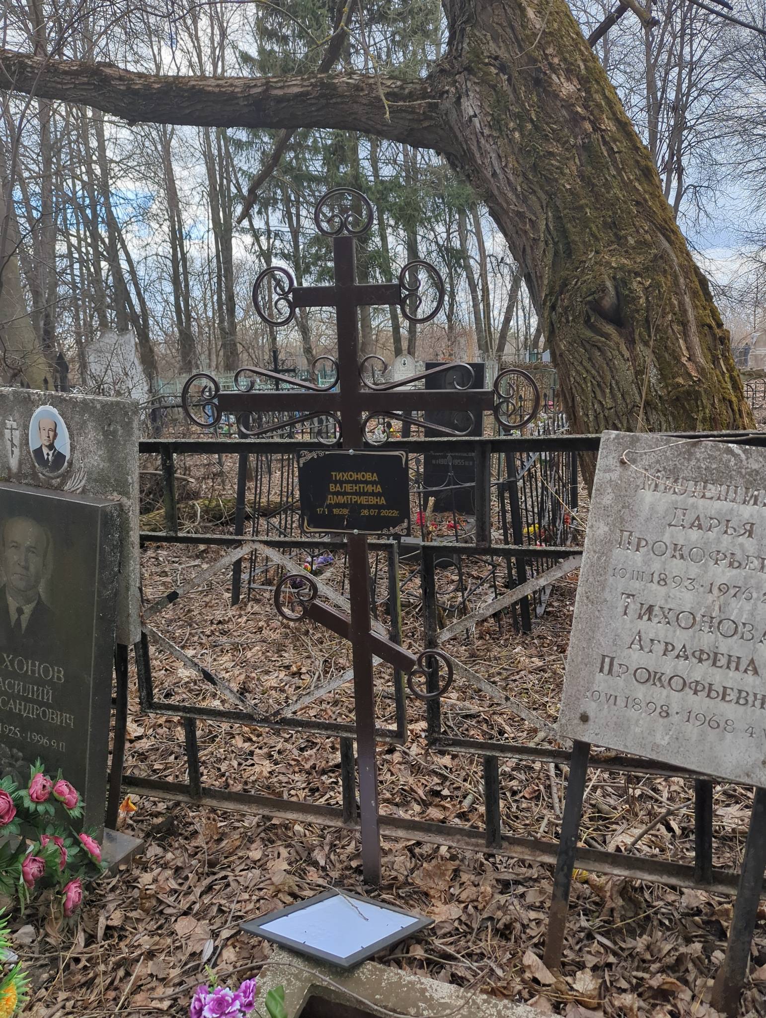 Тихонова Аграфена Прокофьевна