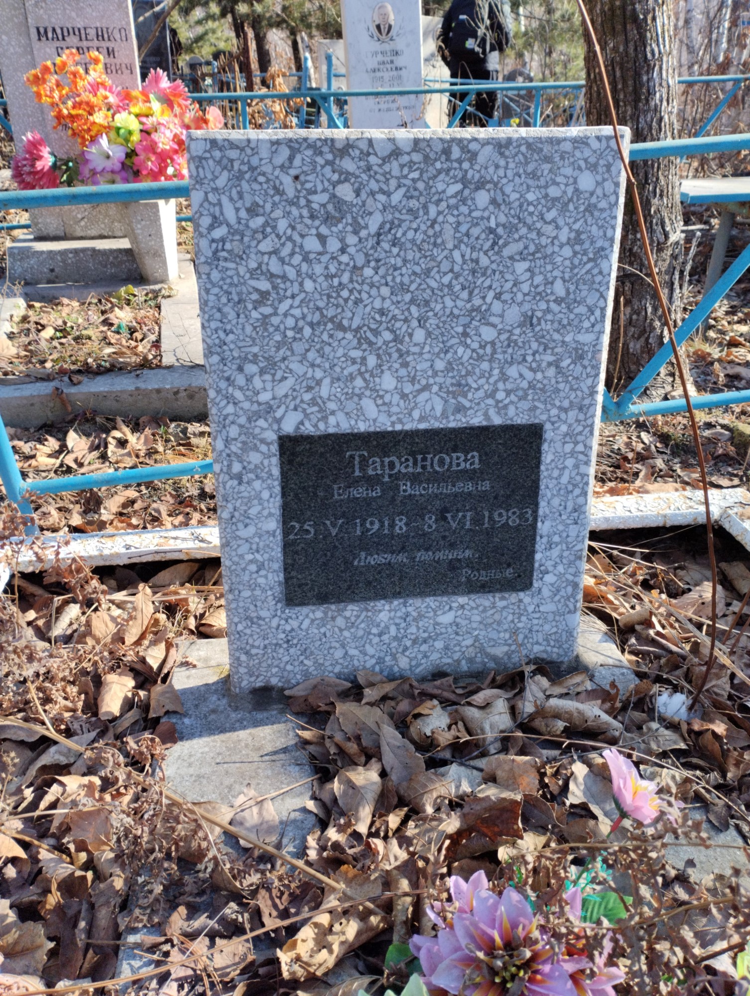 Таранова Елена Васильевна