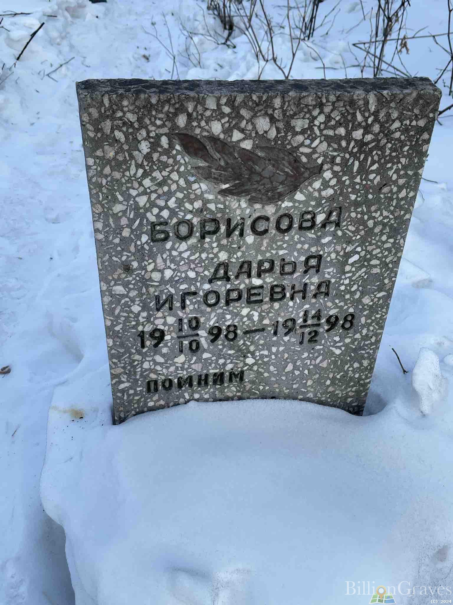 Борисова Дарья Игоревна