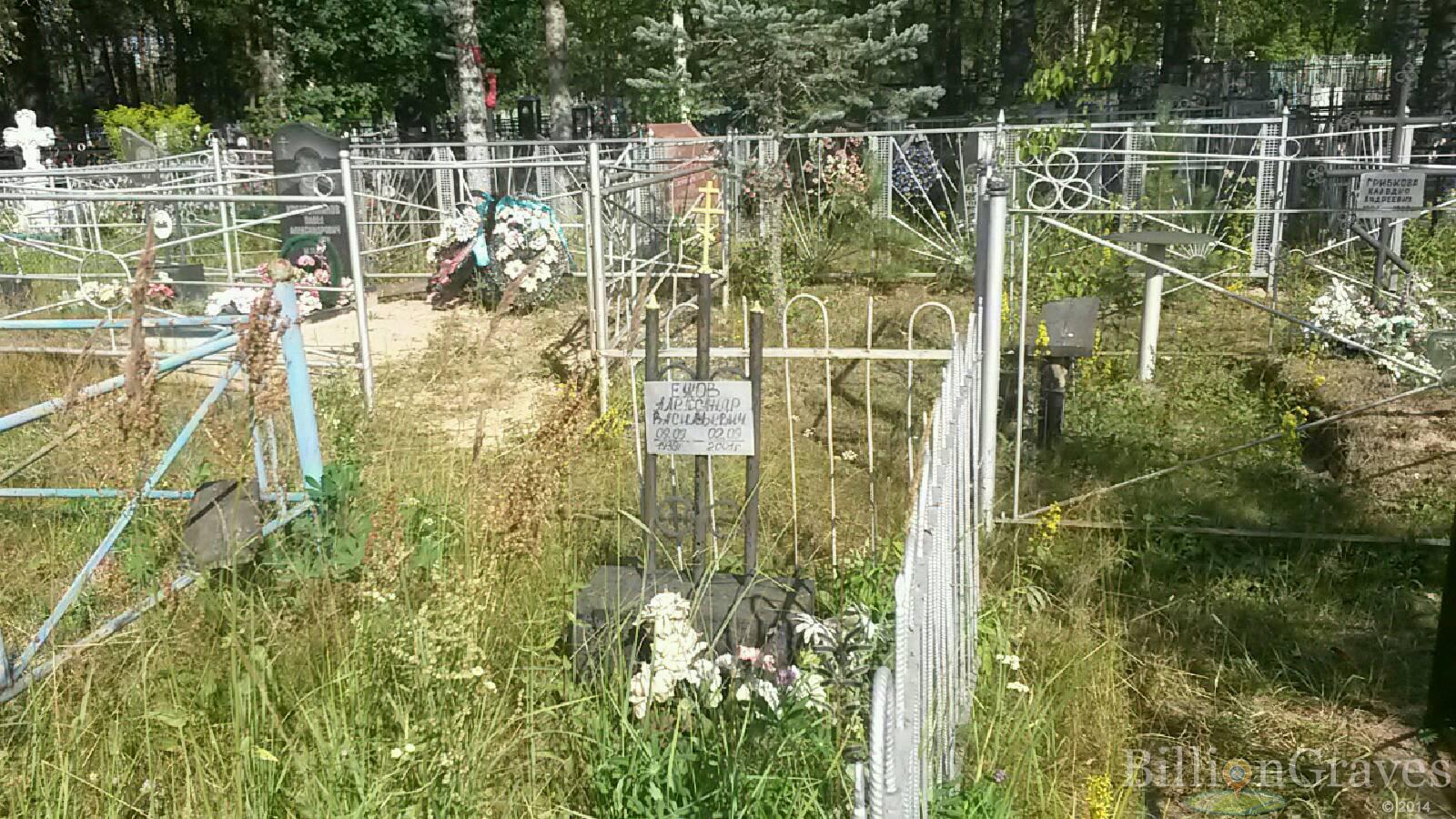 Ежов Александр Васильевич
