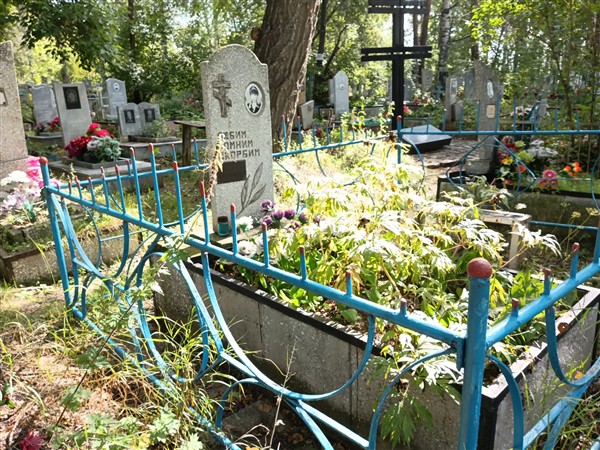 Чебыкин Анатолий Александрович